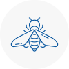 Bee Nest Removal Sleaford