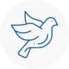 Bird Prevention Sleaford