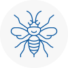 Sleaford Hornet Nest Removals