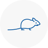 Mice Exterminators In Sleaford