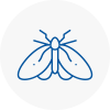 Moth Control Specialists In Sleaford