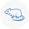 Rat Control Sleaford