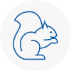 Sleaford Rodent Removals