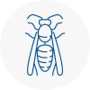 Sleaford Wasp Nest Removal